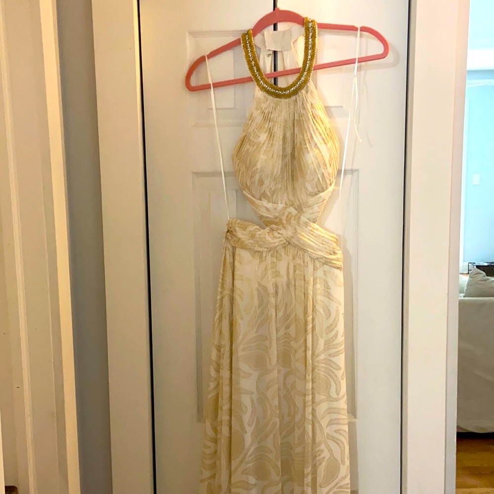 White and Gold Gown